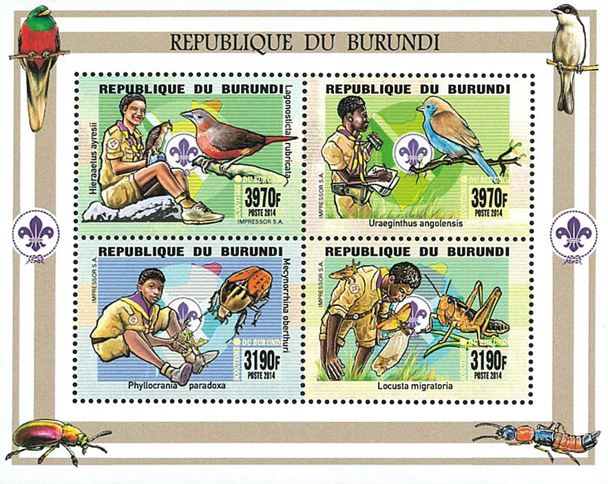 Burundi 2014 Perforated Stamps Scouts Fauna Flora Mushroo Luxury Blocks