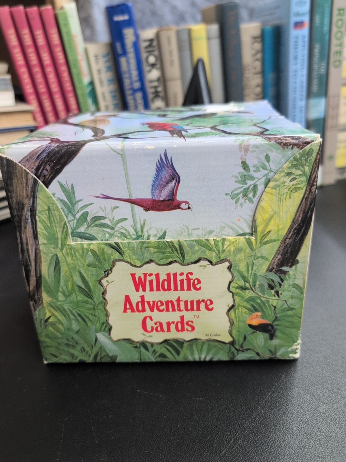 Wildlife Adventure Cards Educational Cards By Grolier 1991 Vintage Used