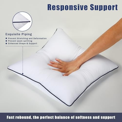 Throw Pillow Inserts Set of 2-Fluffy Square 20x20 Inch (Pack of 2)-Blue Edge