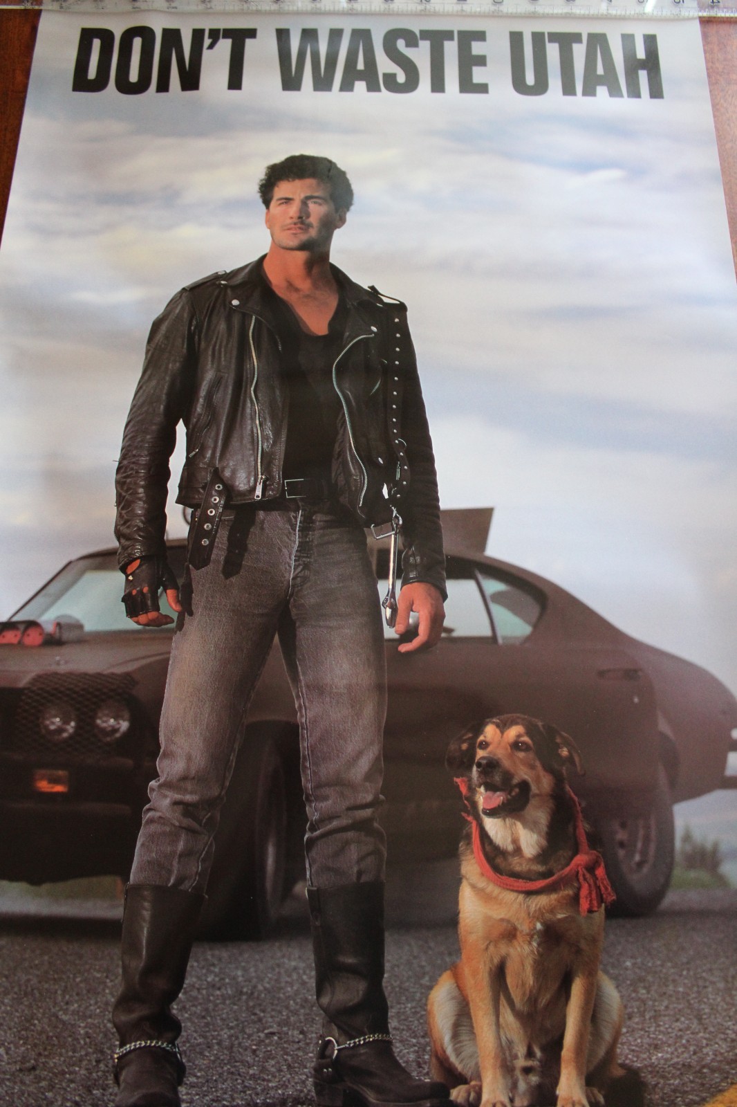 Vtg UDOT Don't Waste Utah 1980s Anti-Litter Campaign Max and Hoover Poster 19x24