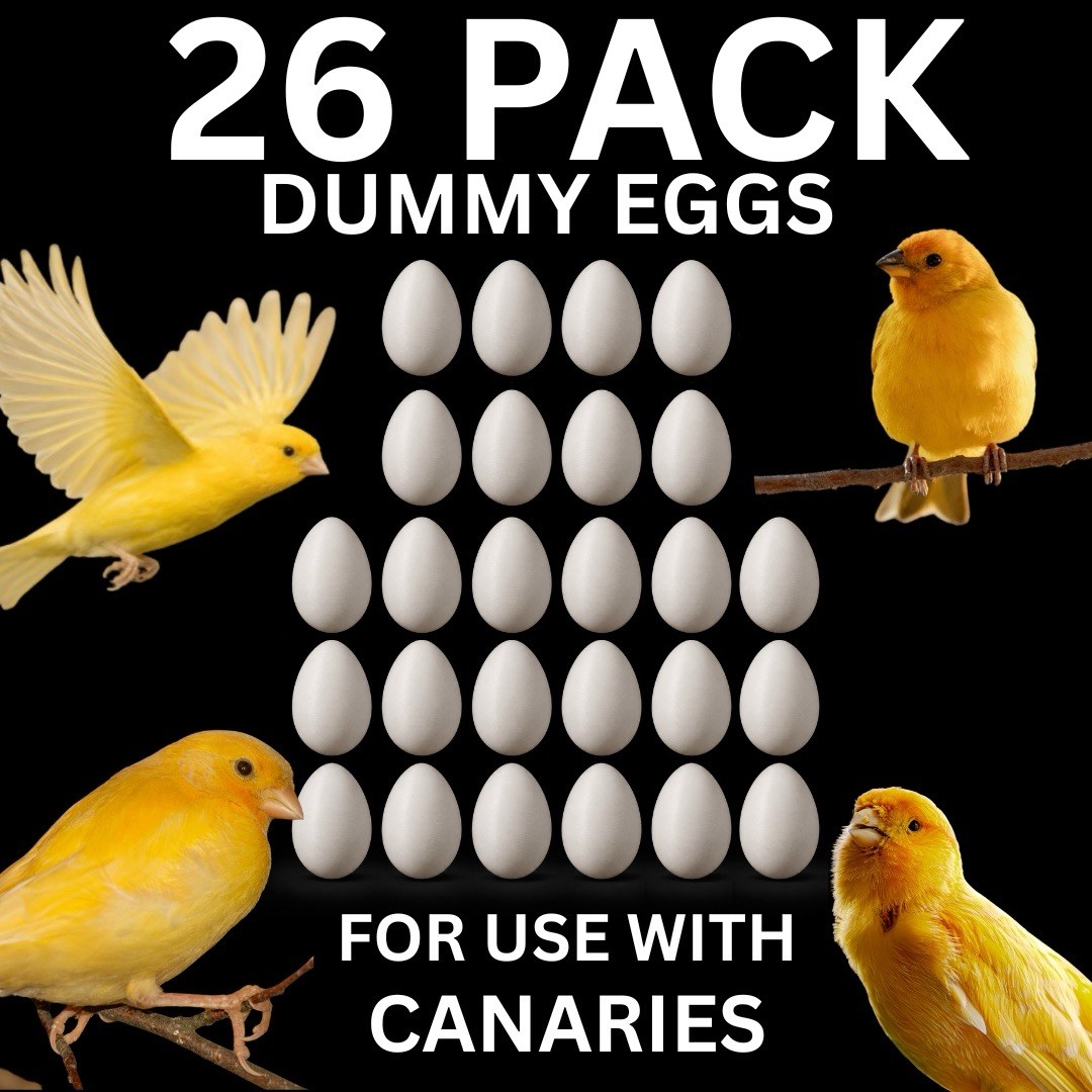 Lot of 26 Canary Fake Eggs Plastic Dummy Nest Eggs – Stop Egg Laying Behavior