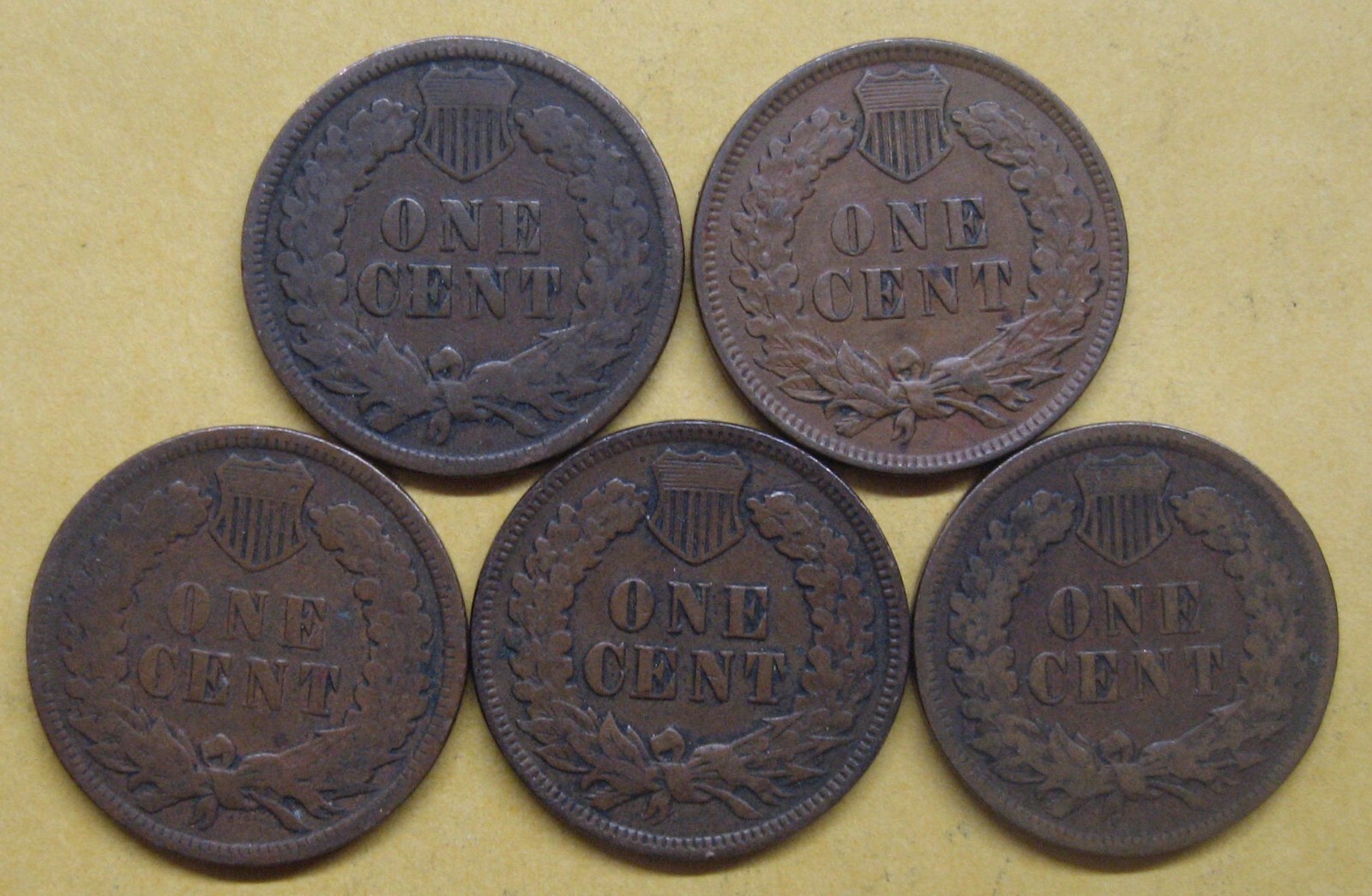 Five Indian Pennies with Five Different Dates--ALL in Good+ Take a Look