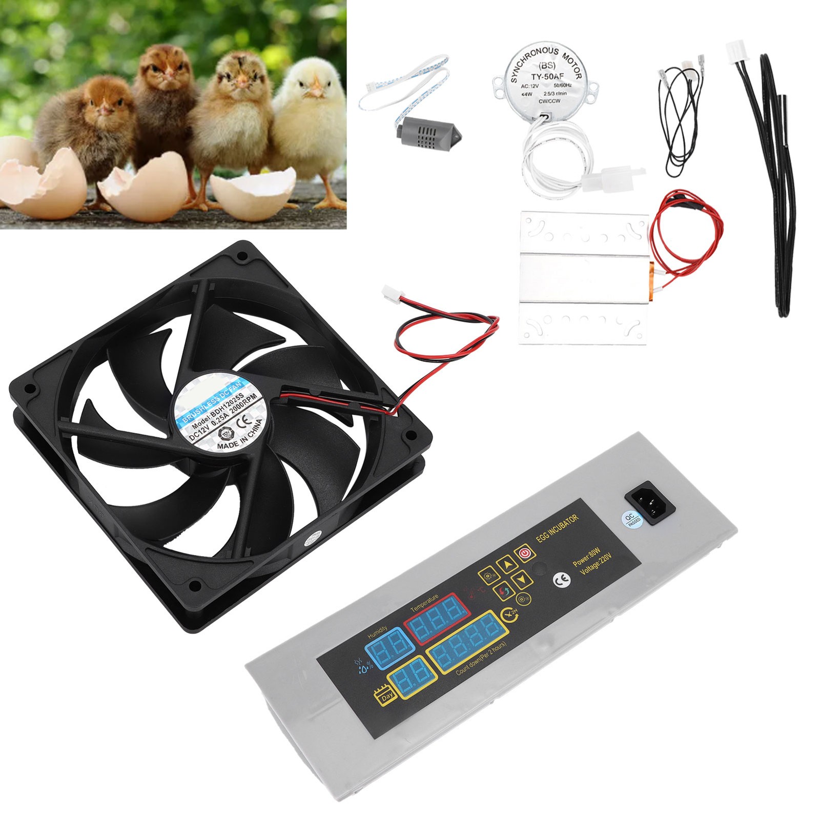 Automatic Egg Incubator For DIY Poultry Hatching Machine Excellent
