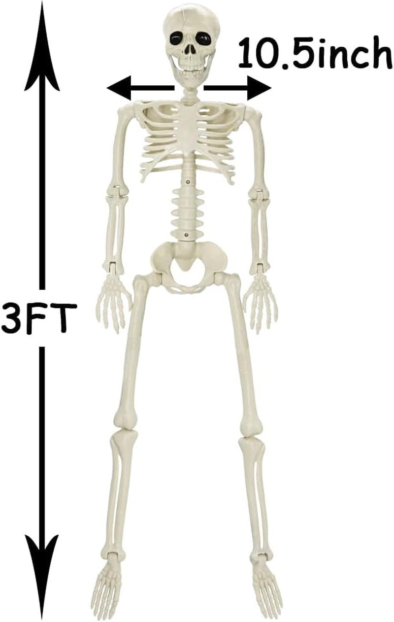 3FT Skeleton, 36" Full Body Skeleton with Movable Posable Joints, Realistic Plas