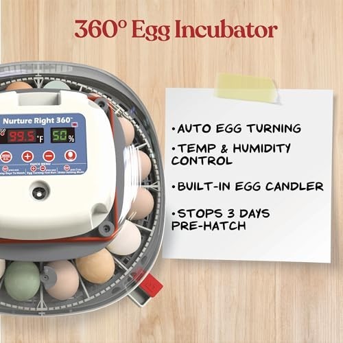 Egg Incubator 22 Capacity Automatic Turner Temperature Humidity Control Clear