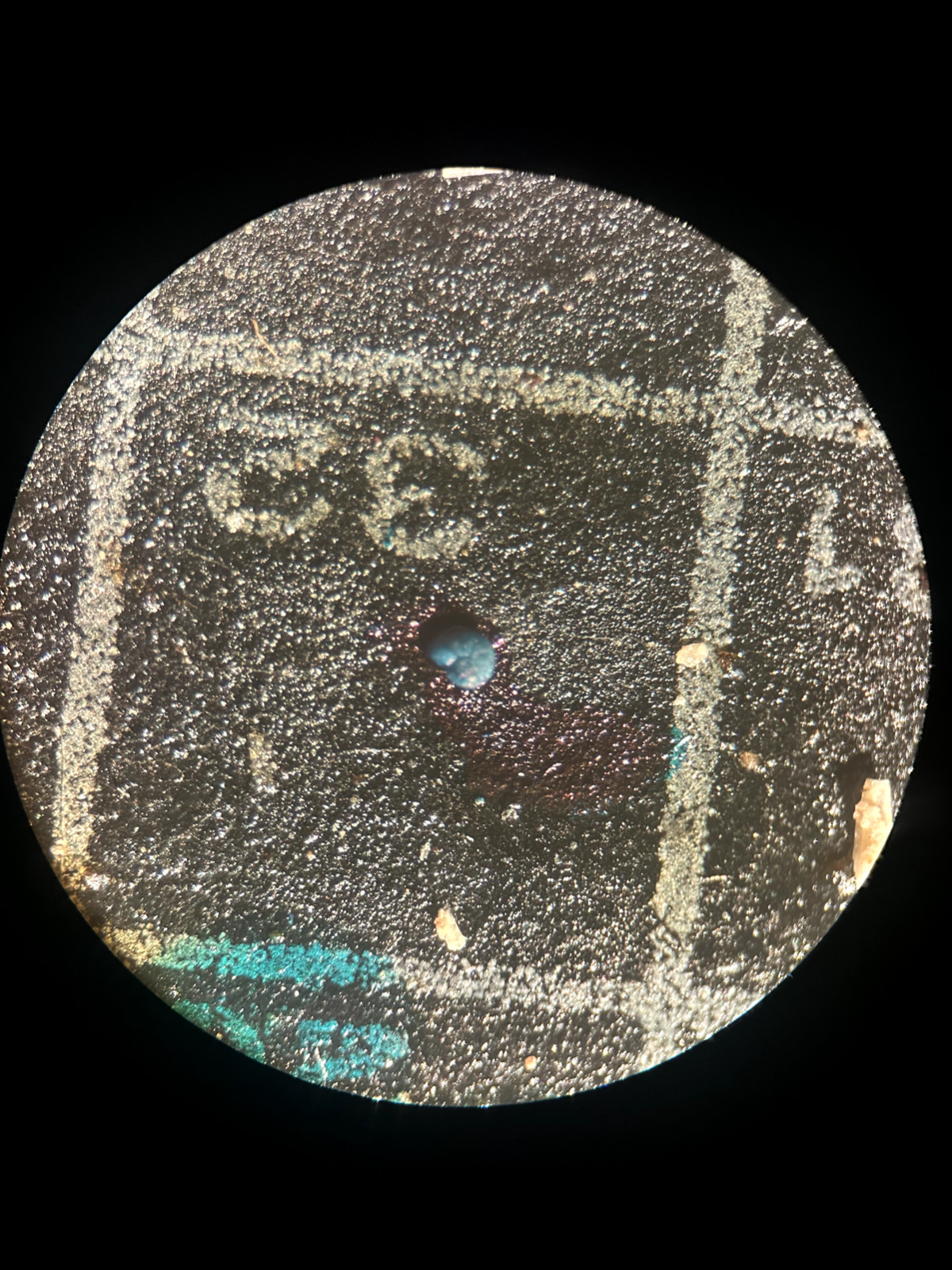 Vtg American Optical Spencer Stereoscopic Microscope W/ Objectives NO Light-Box