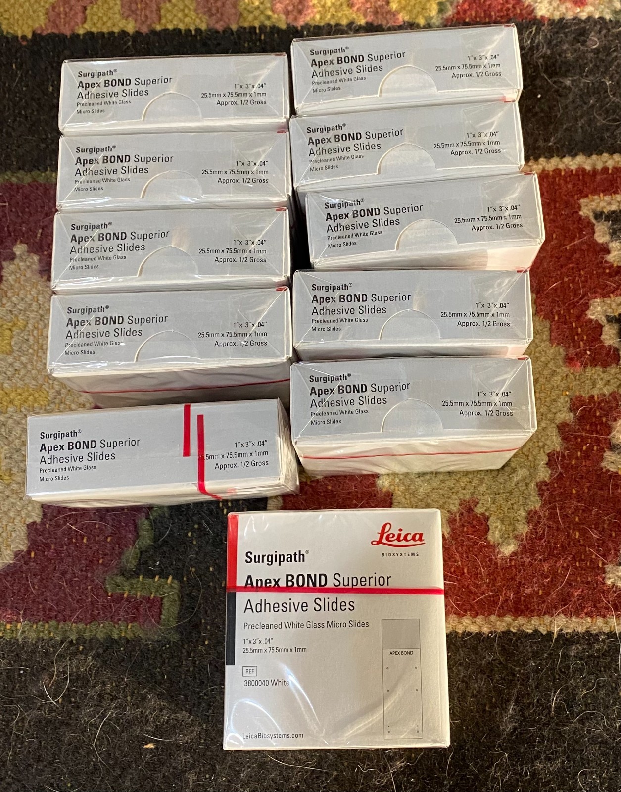 Leica Apex BOND glass slides    Histology