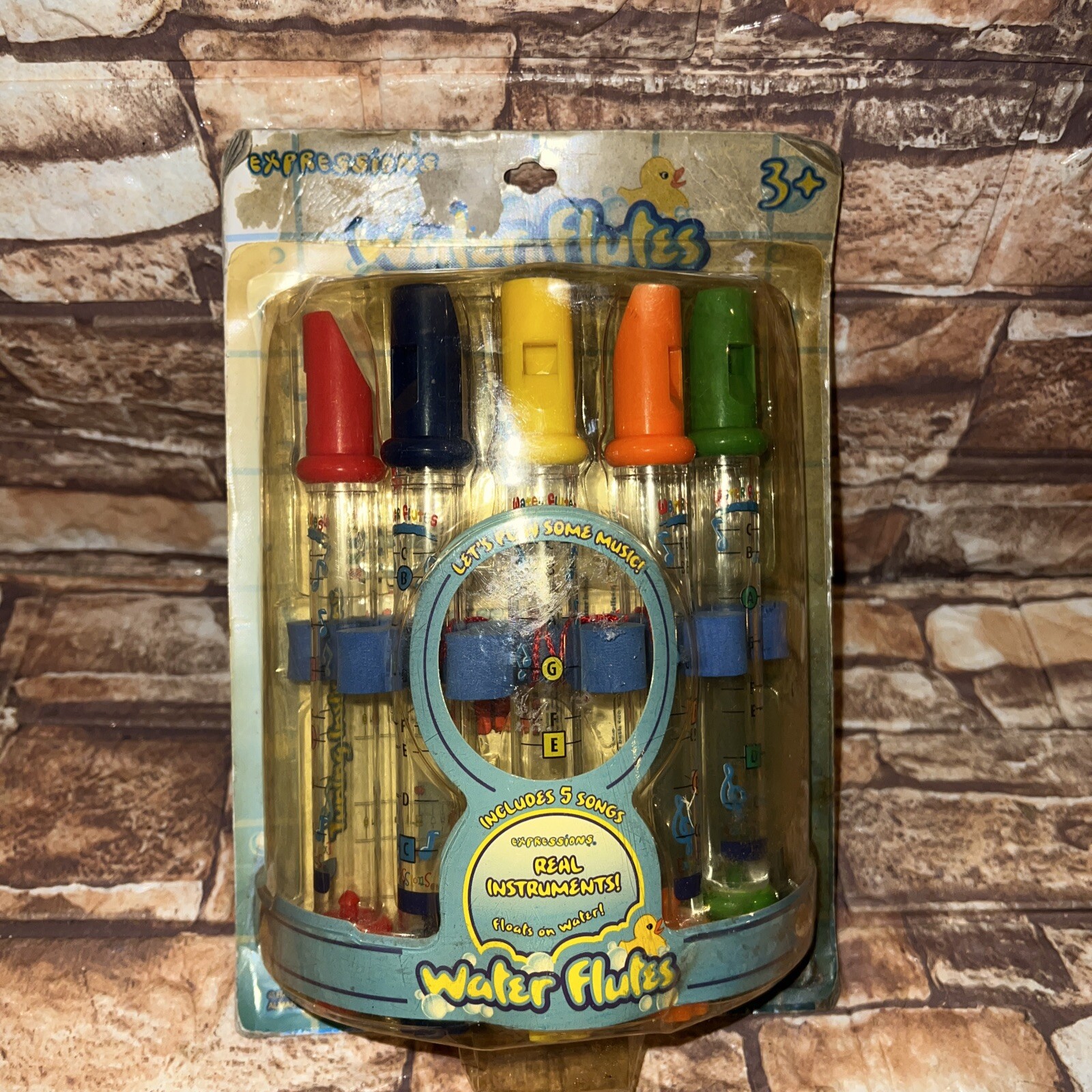 Expressions Water Flutes Real Instruments Harry Ash 2007 Includes 5 Songs RARE