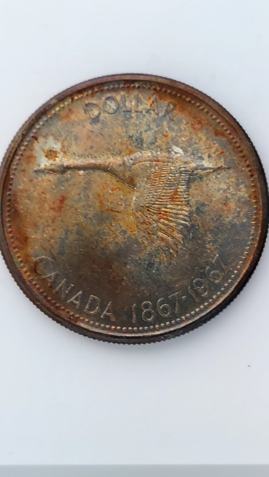 1967 Canada 1 Dollar Silver Piece, .800 Silver, Outstanding Toning