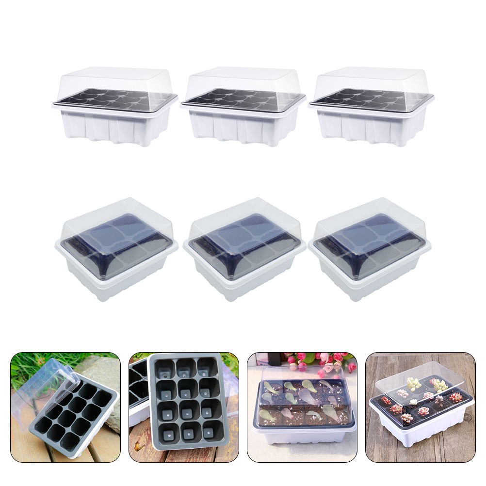 Multi Plastic Plant Starter Boxes for Home with Simple Structure Design 6 Pcs
