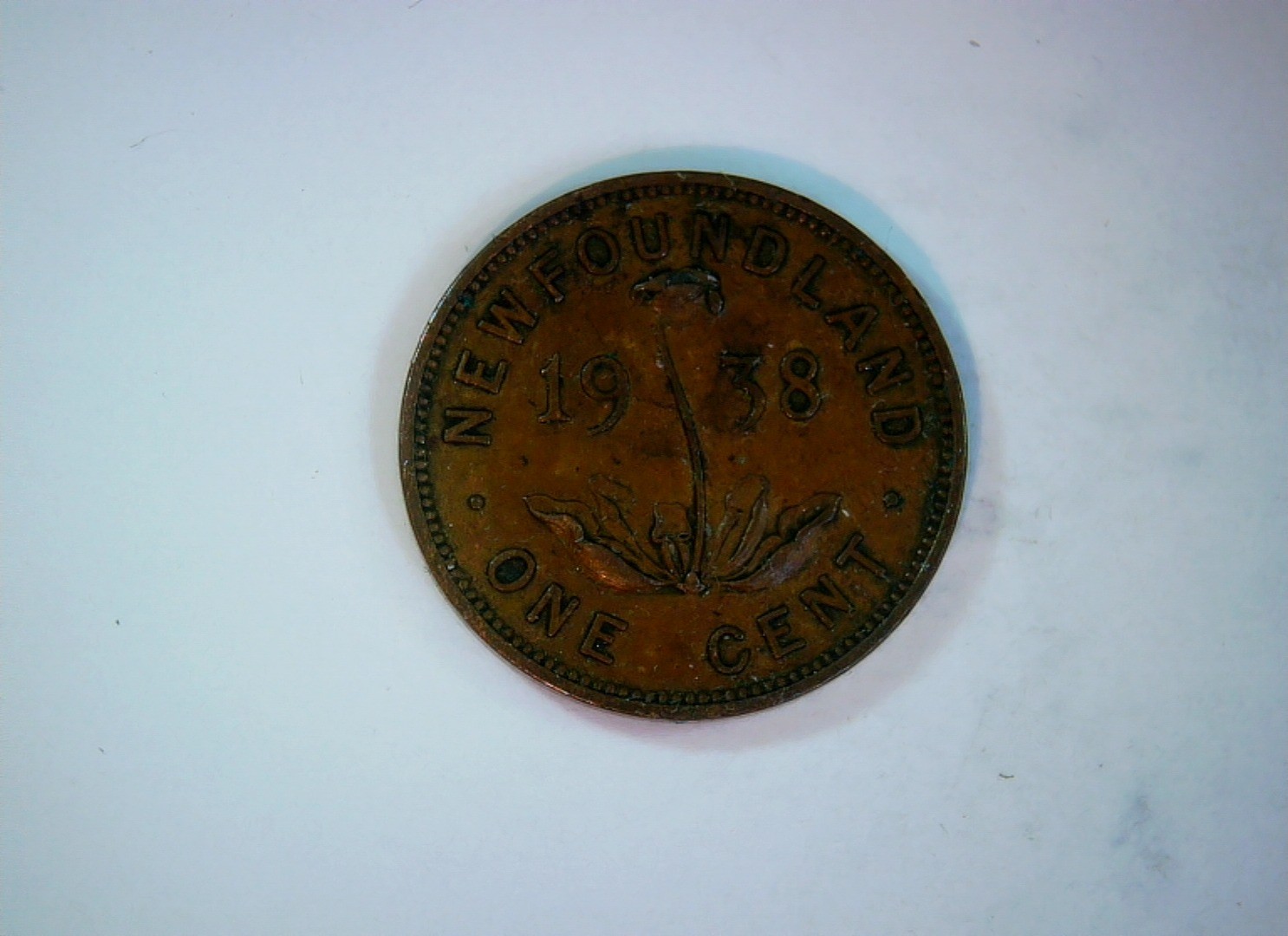 Newfoundland 1938 1 Cent Newfoundland Cent (George VI) Coin