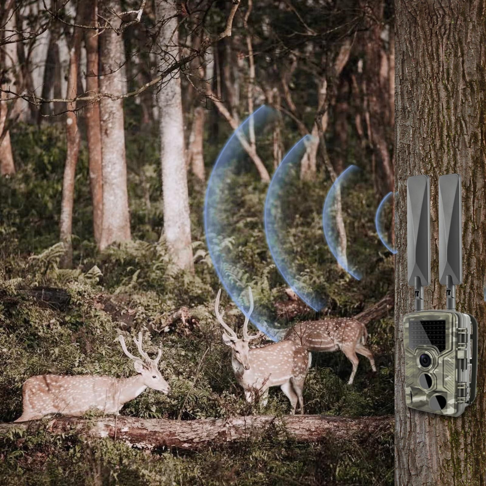 Cellular Trail Camera Upgrade Replacement SMA Male Antenna 4G