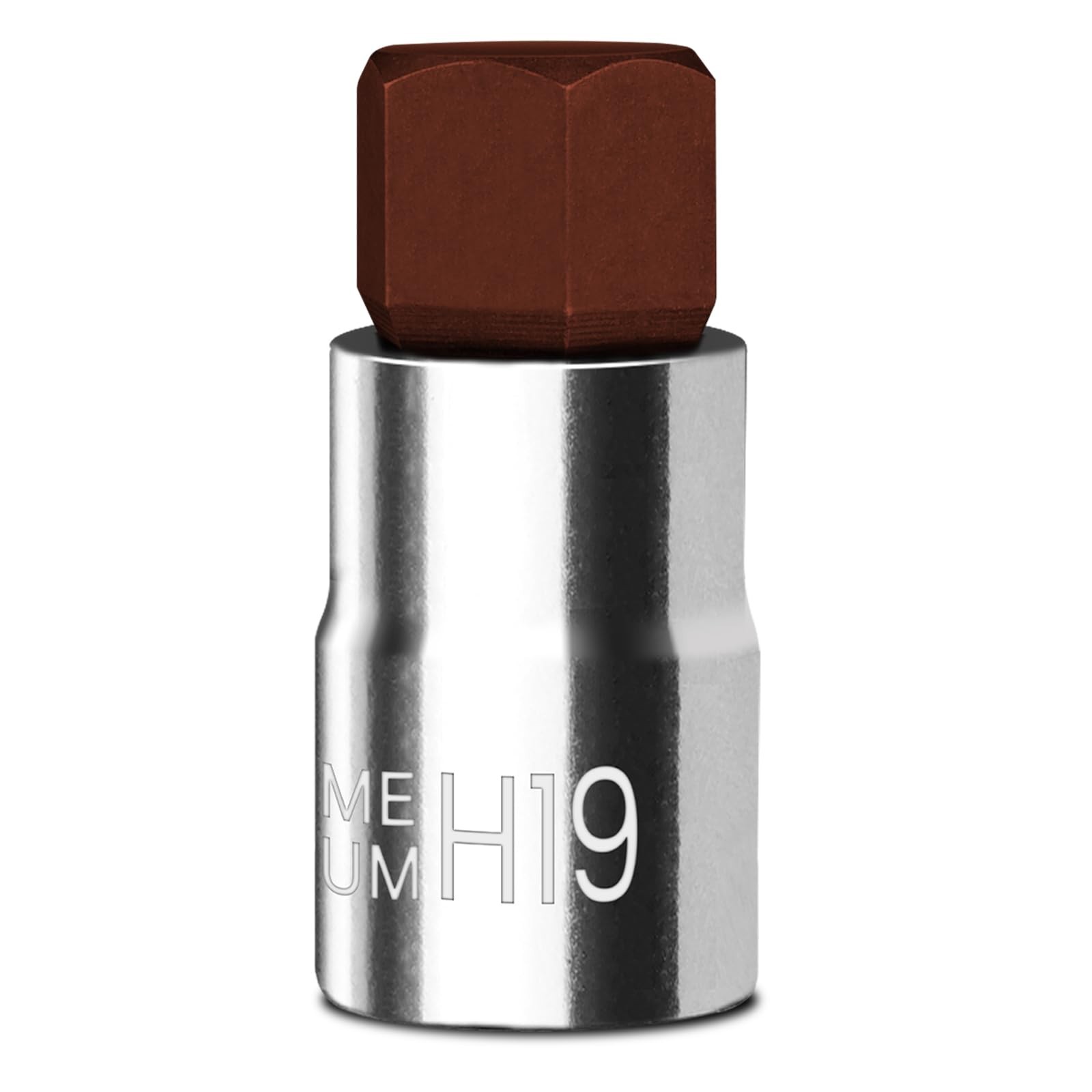 BLACKROBOT 19 mm Hex Bit Socket, 1/2 Inch Drive H19 Allen Key Socket, Metric,...