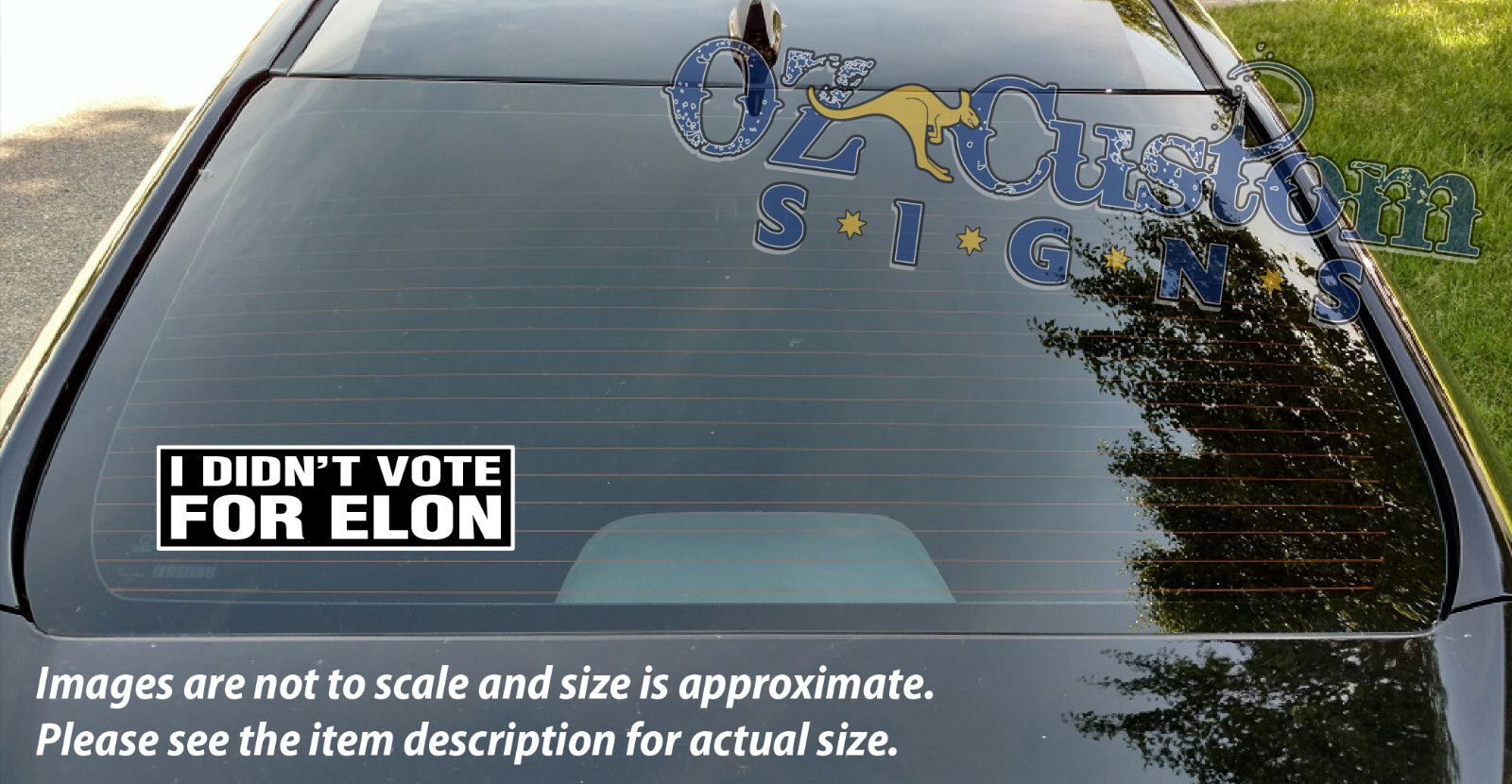 I Didn't Vote For Elon (MUSK) - Printed Decal / Sticker