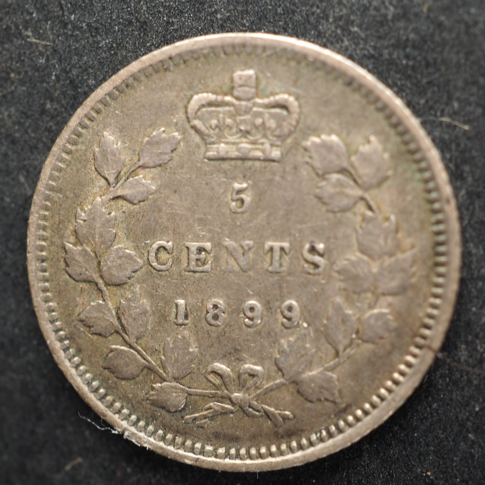 1899 Canada 5 Cents Silver! - FREE SHIPPING! C4049
