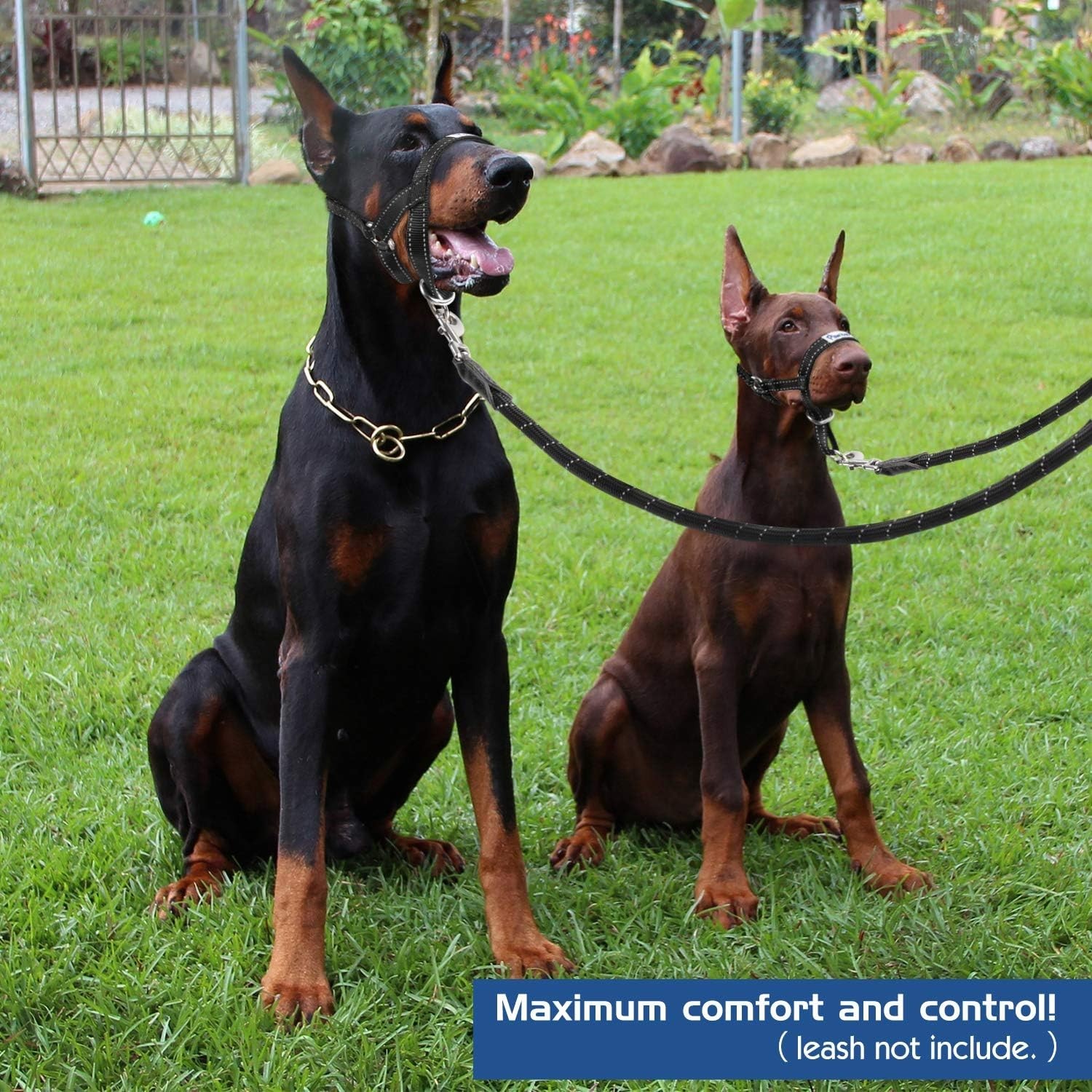 Pet Nylon Dog Head Collar Muzzle Reflective Adjustable Bark Control No Pull Easy