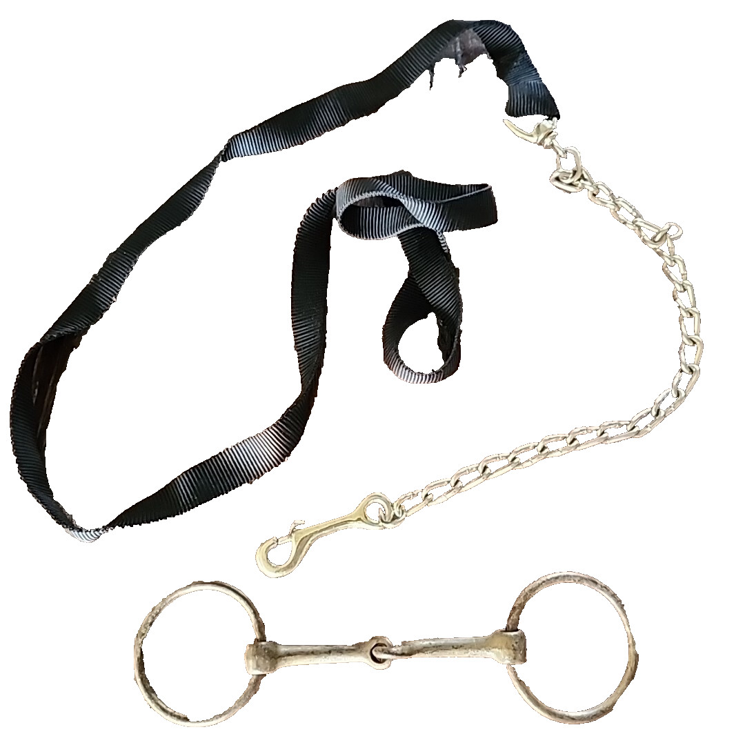 Brass Horse Bit and Lead Leash Horse Tack