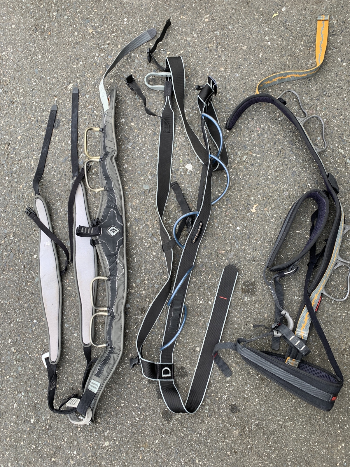 Rock Climbing Harness Size L  Lot Of 3- EXCELLENT