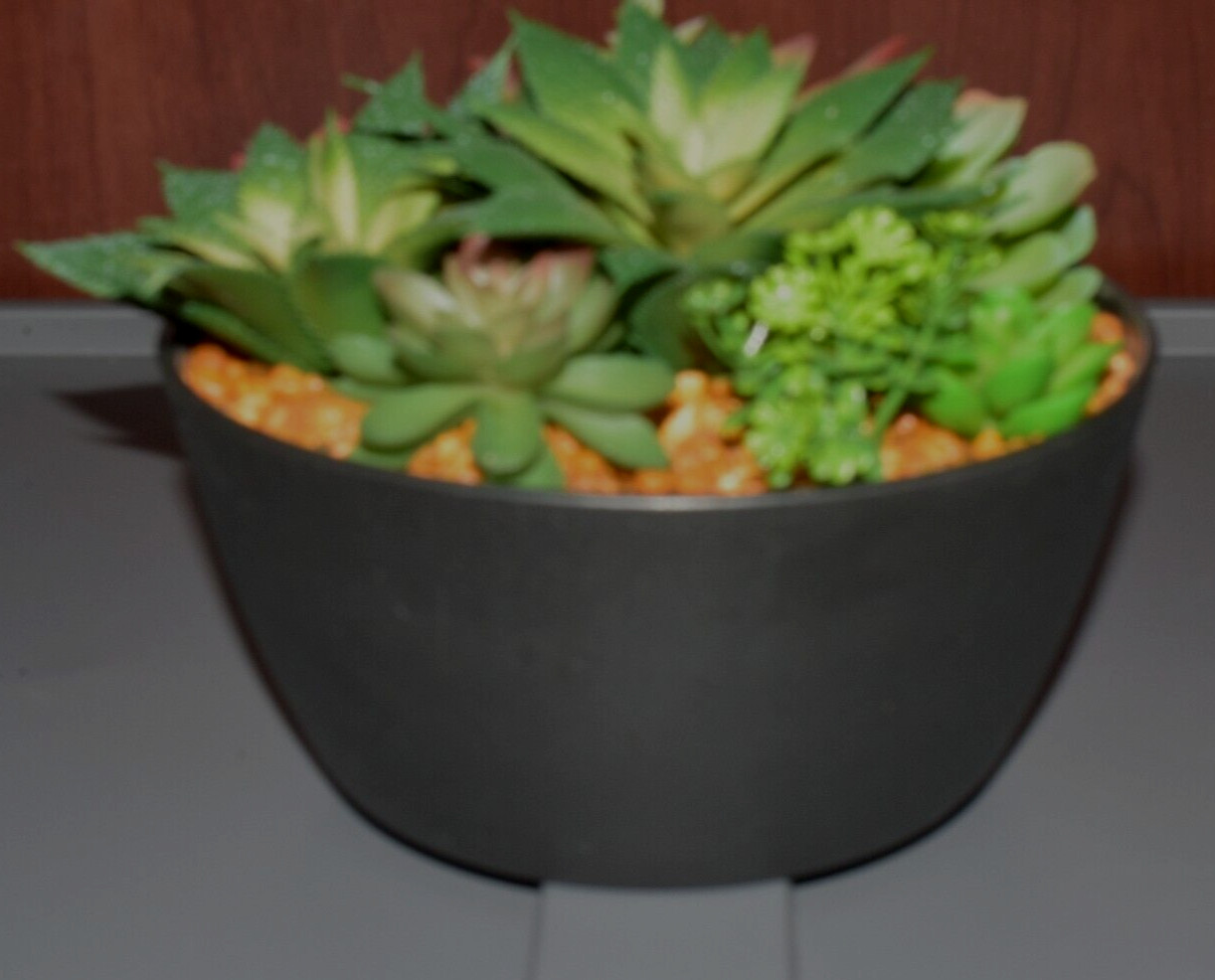 Artificial Succulent Plants in Hard Plastic Black Pot VGC!