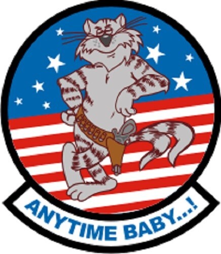 Grumman F-14 Tomcat "Anytime Baby . . .! Decal - 3.49" Wide x 4.00" High Decal