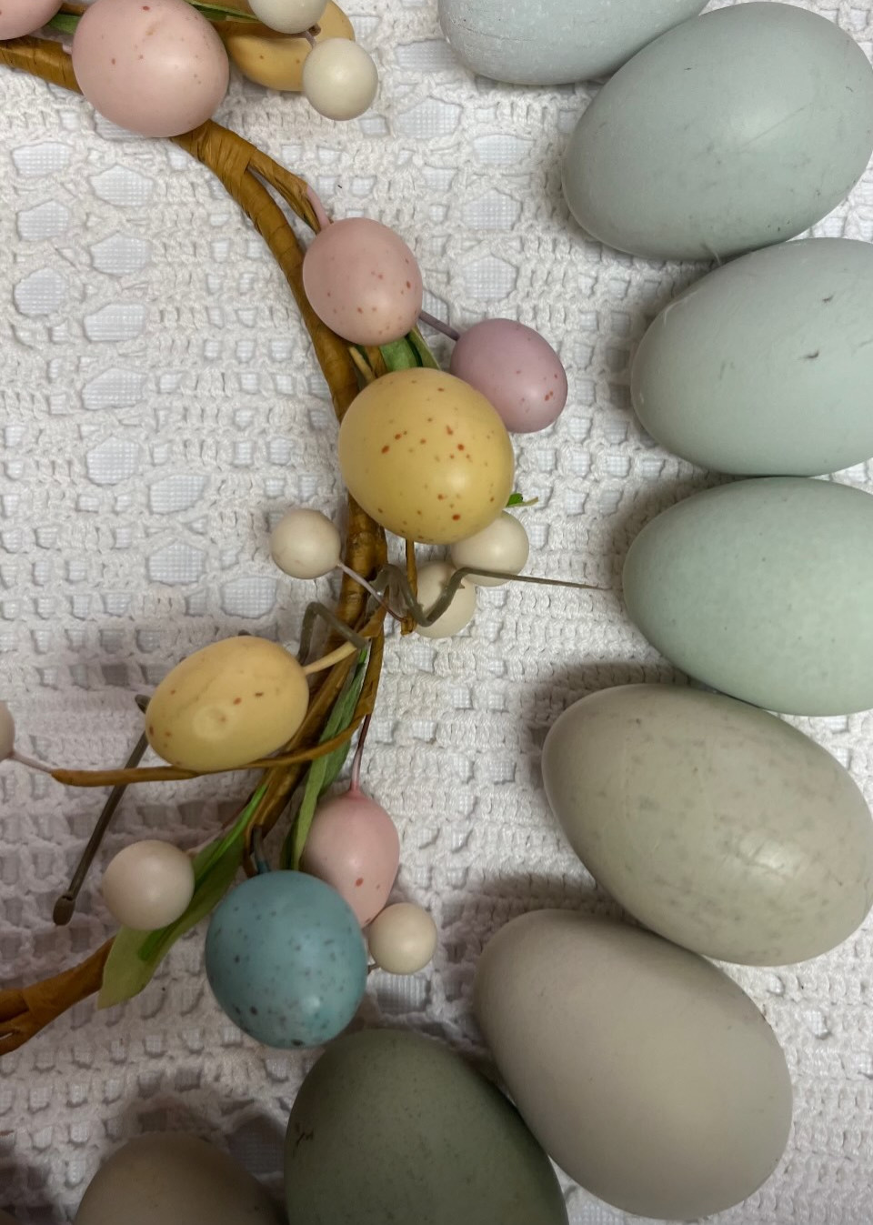 Rainbow Mix Assorted Hatching Eggs(10+) NPIP/A1 Certified