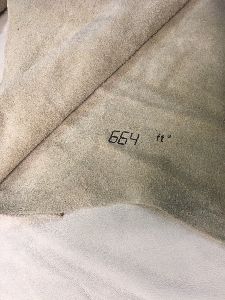 GIANT CREAM-BEIGE COW HIDE SKIN LEATHER UPHOLSTERY OR GARMENT 664 SQ FT.  ITALY