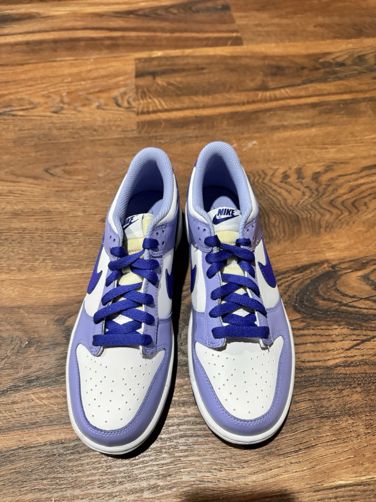 Nike Dunk Low Blueberry Size 7