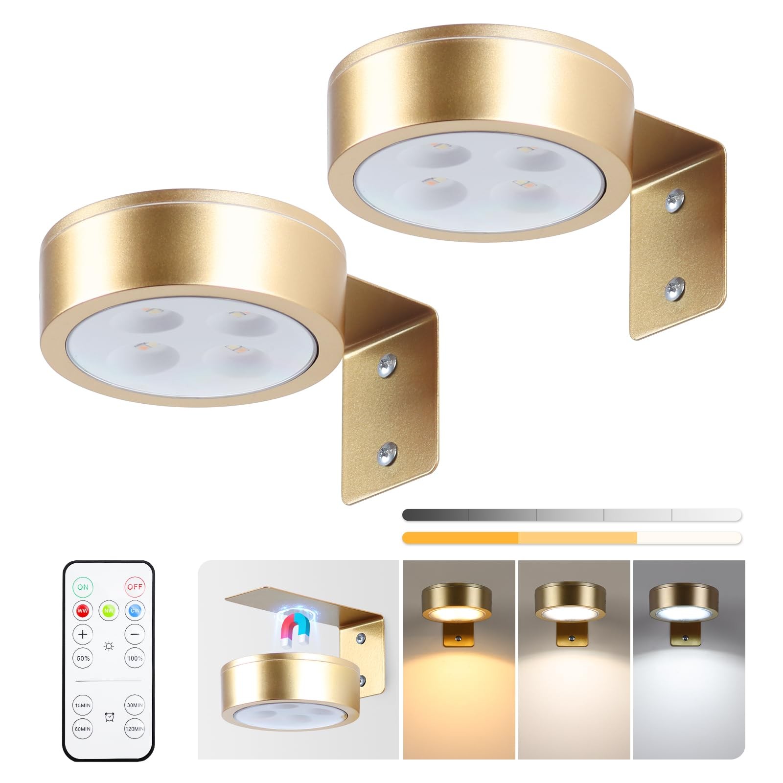 2-Pack Picture Light Battery Operated Painting Lights for Wall, Magnetic Disp...