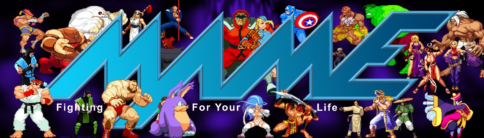 Mame Fight for Your Life Arcade Marquee 26"x8"