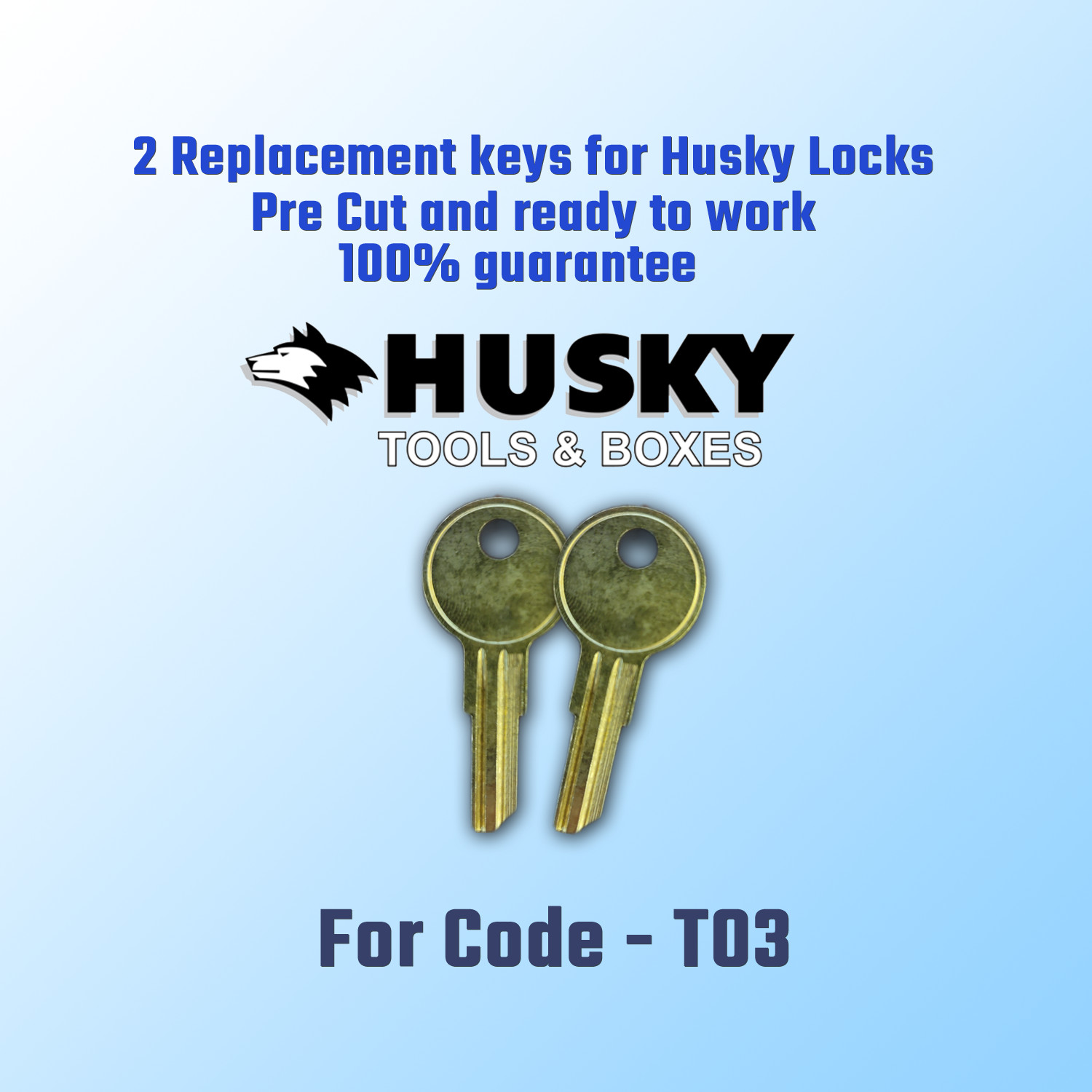 T03 Keys. Replacement pre cut keys for Husky tool box locks, cut to your code