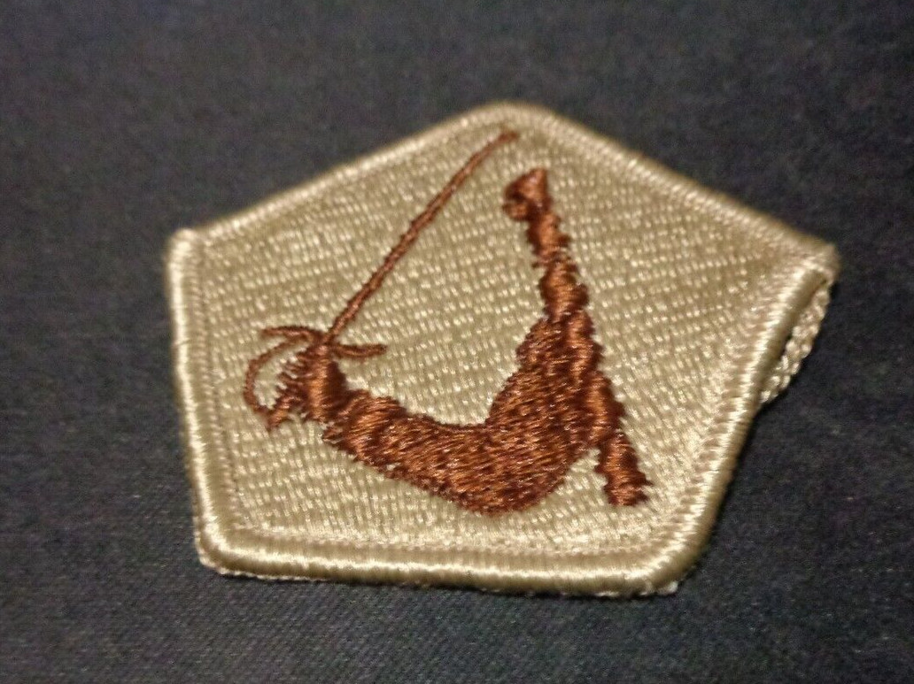 ORIGINAL MASSACHUSETTS ARMY NATIONAL GUARD PATCH MILFORD MASSACHUSETTS TAN PATCH