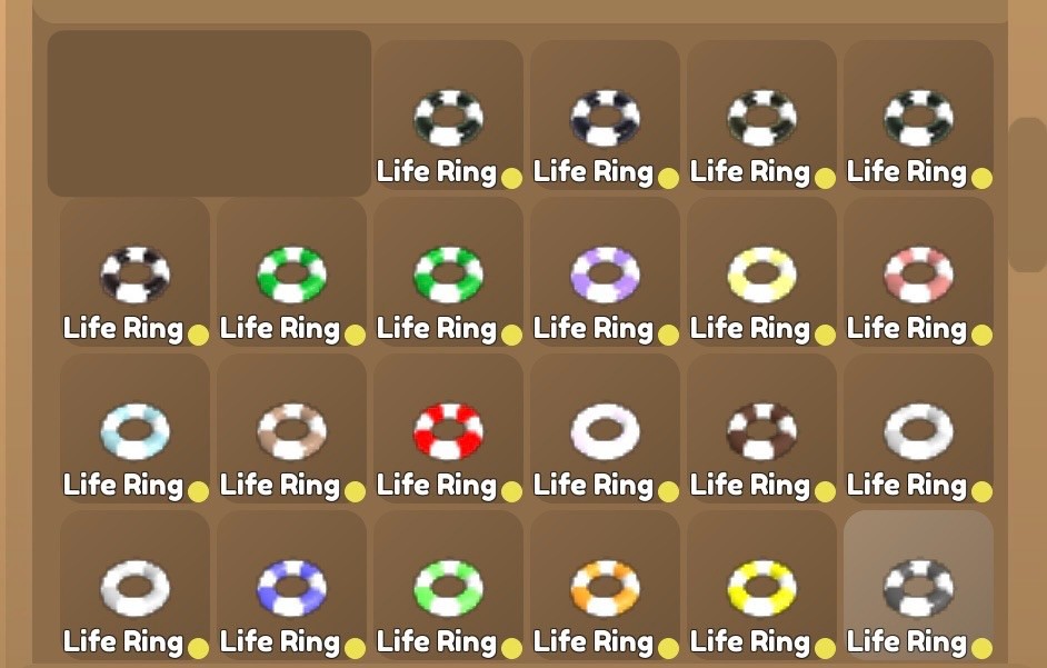 Wild Horse Islands Life Rings and Water Wings | Please Read Description