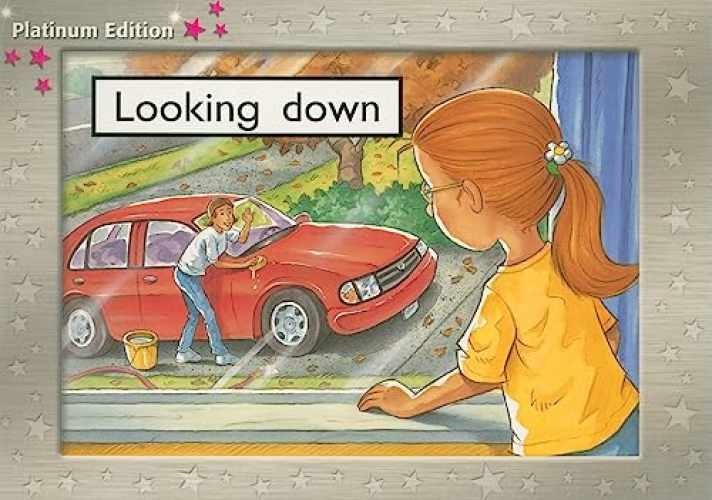 Looking Down: Individual Student Edition - Paperback, by SMITH - Very Good