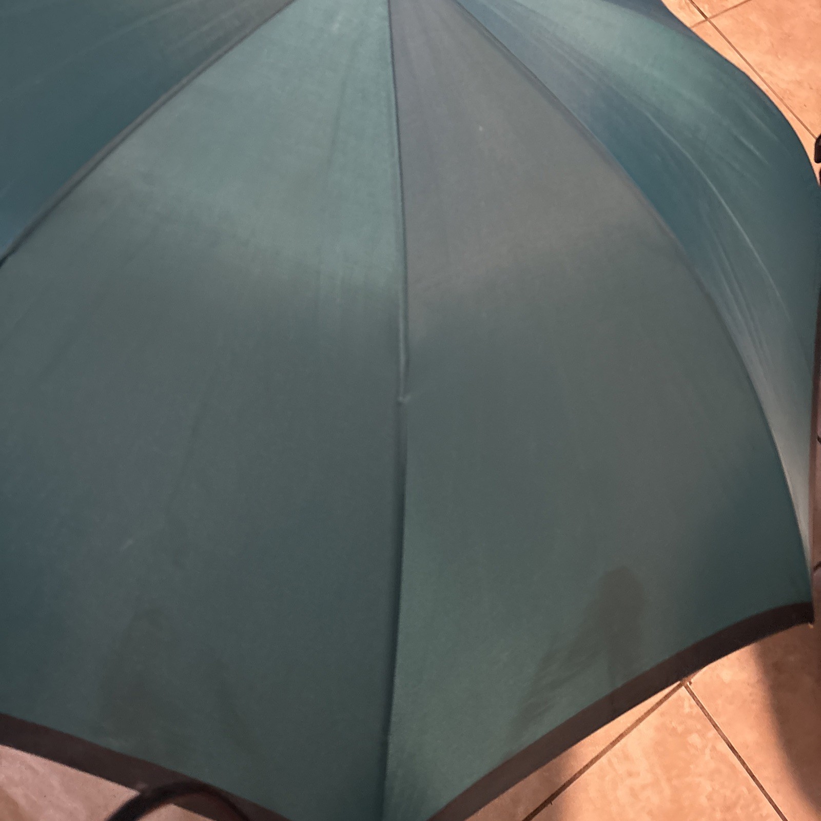 Tsar Umbrella Vintage Green Rare