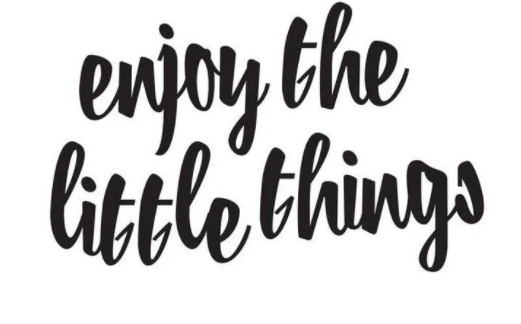 Enjoy the Little Things Vinyl Decal for Glass Cars Windows Walls Crafts Cups
