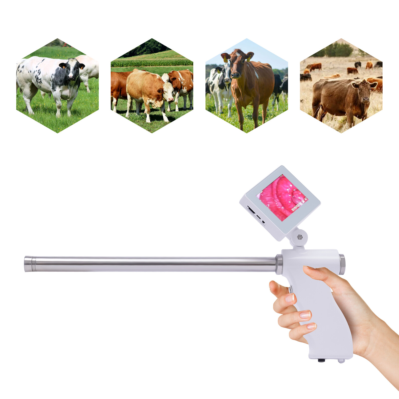 3.5 Inch Cows Cattle Visual Insemination Gun Insemination Tool Adjustable Screen