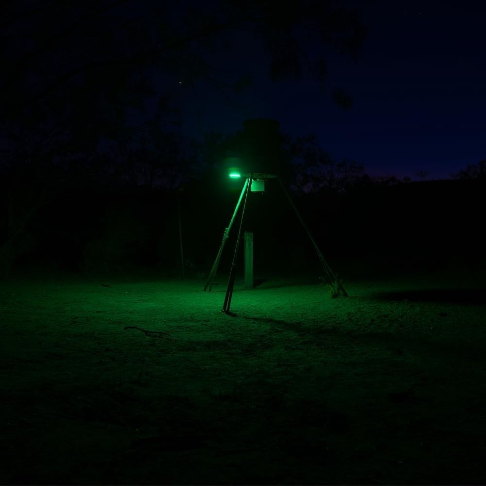 Solar Powered Hog Light, Elusive Wildlife Green Feeder Light, Motion Activated