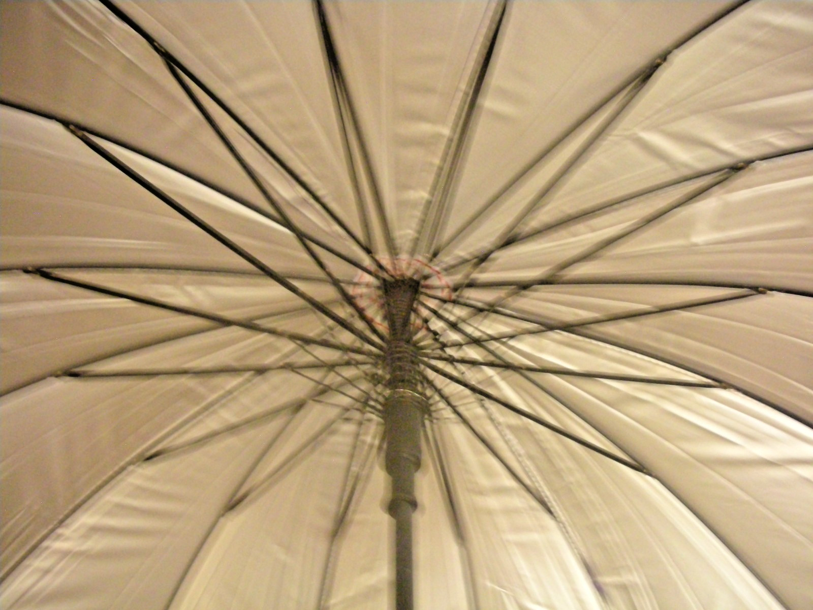 Large 42 inch Diameter Pretty Purple Flowered Umbrella
