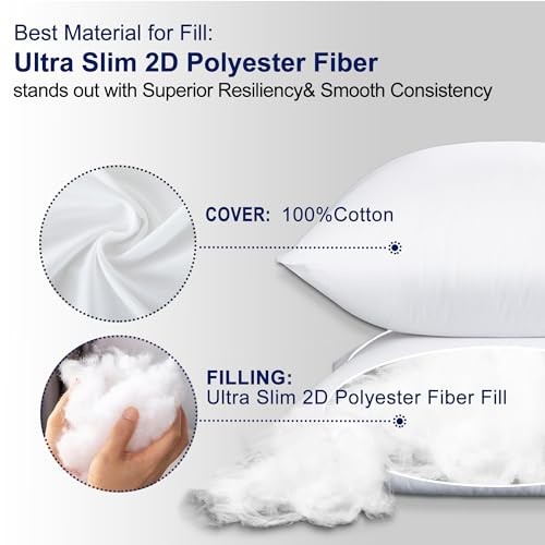 22x22 Pillow Inserts (Set of 2)- 100% Cotton 22x22 Inch (Pack of 2) White