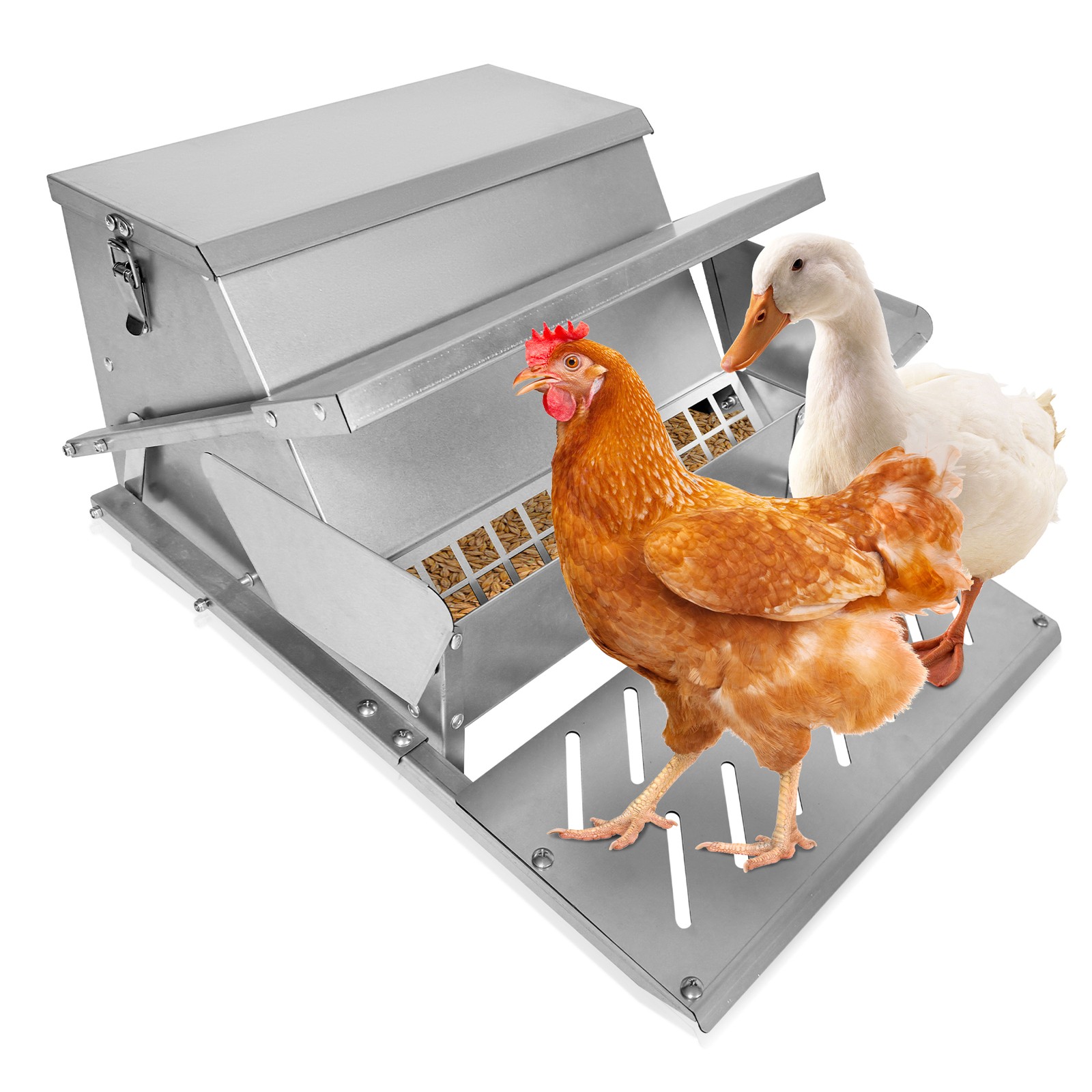 Galvanized Steel Automatic Chicken Feeder Weatherproof 20lb Feed Container
