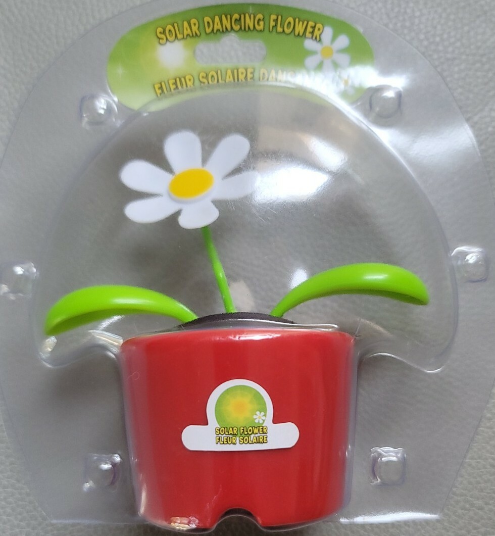 RED Solar Dancing DAISY Sun Or Light Powered FLOWER TOY Great Gift BOBBLE HEAD