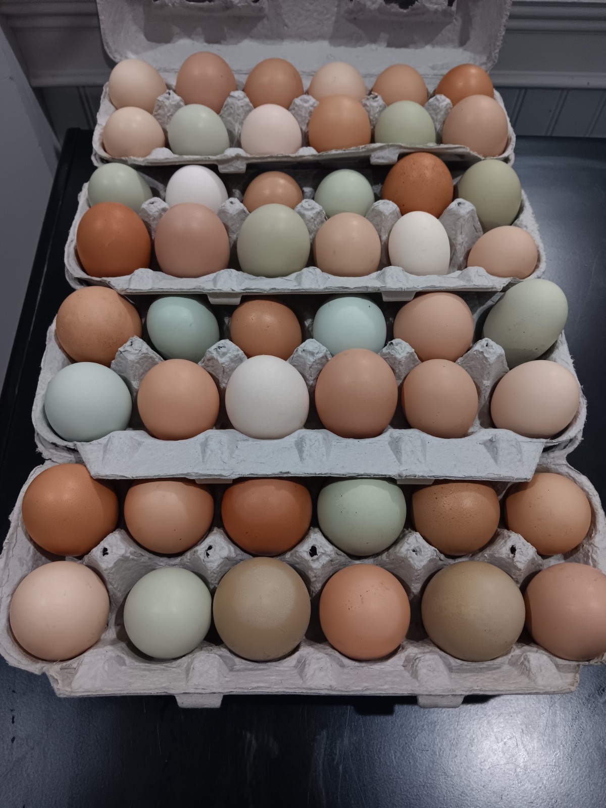 12+ Barnyard Mix Hatching Eggs 🥚