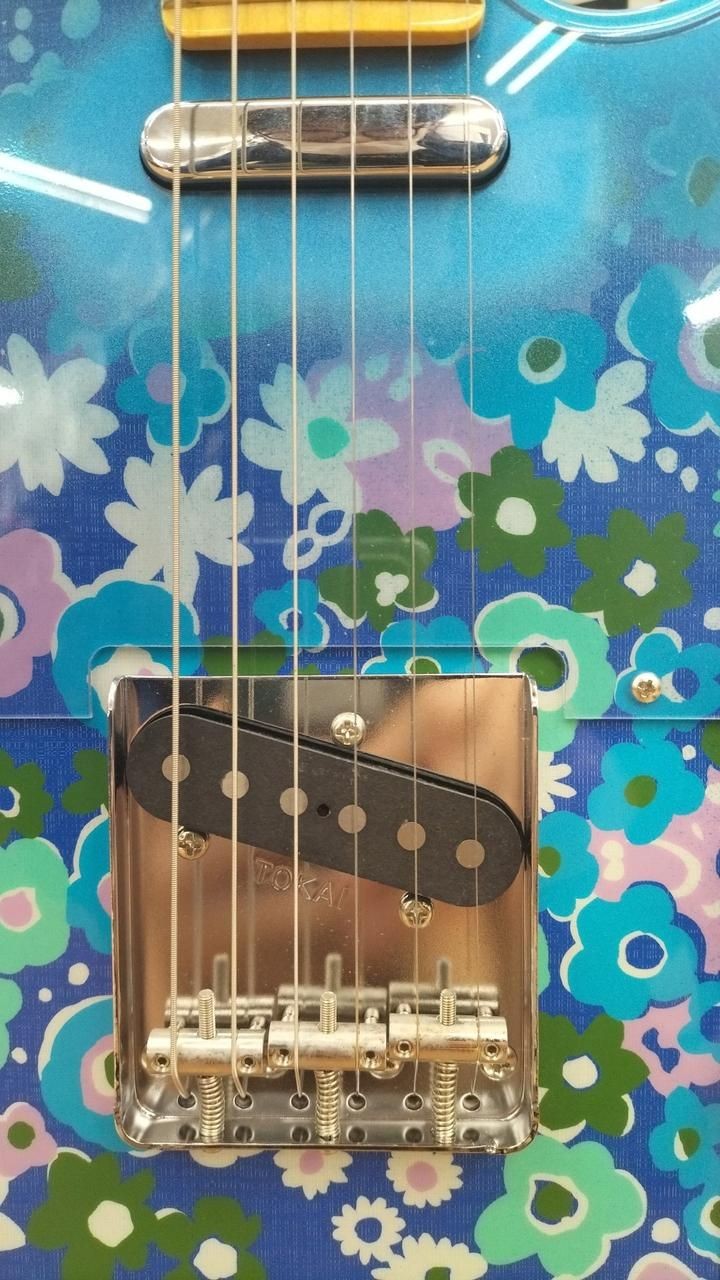 TOKAI Guitar ATE-101BF Used