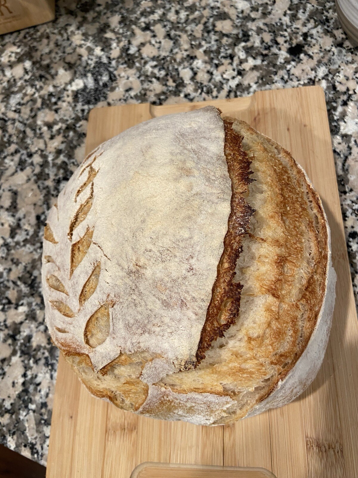 Dehydrated Sourdough Starter