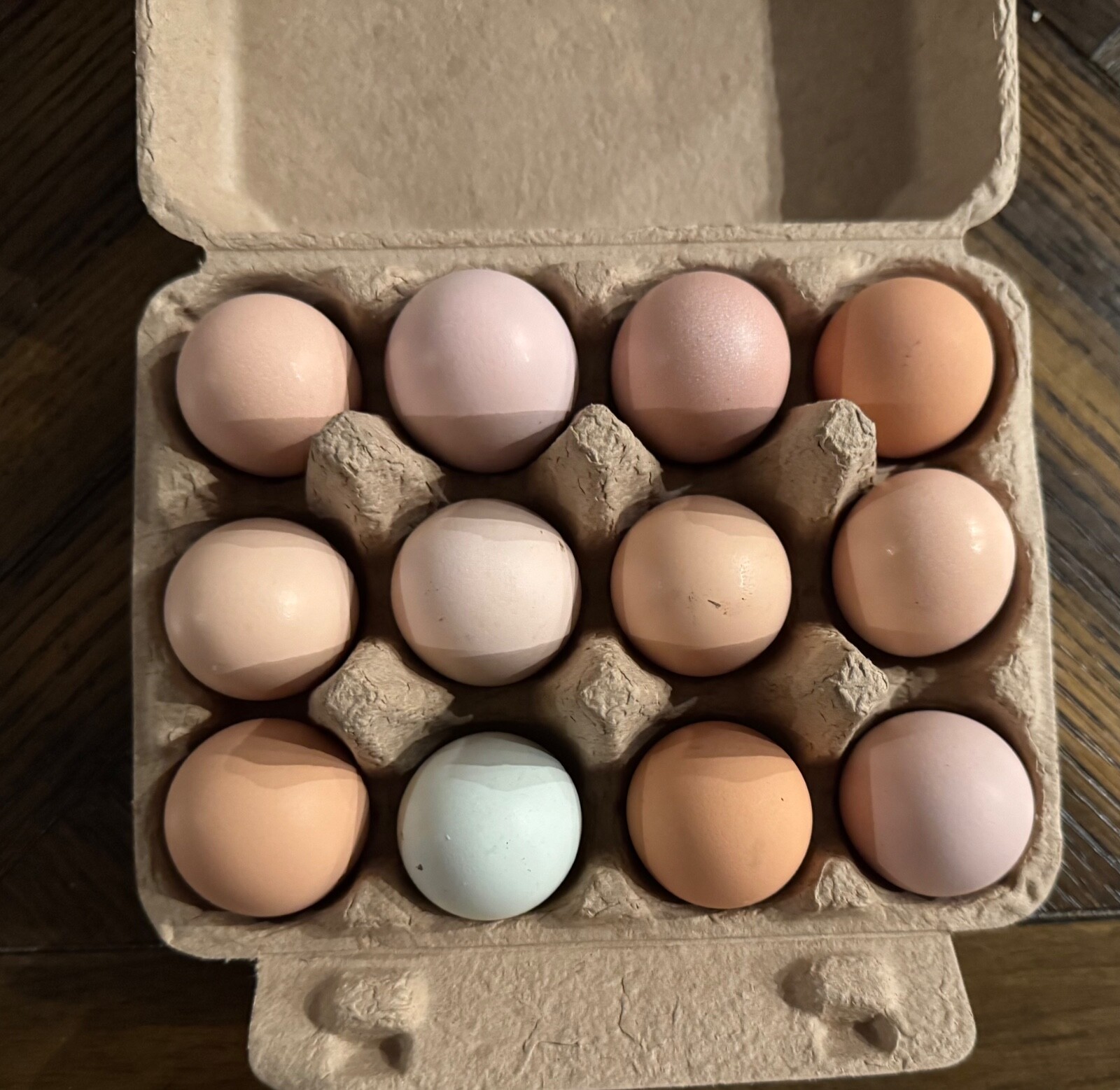 12 Barnyard Mix Hatching Eggs (Rare Breeds)