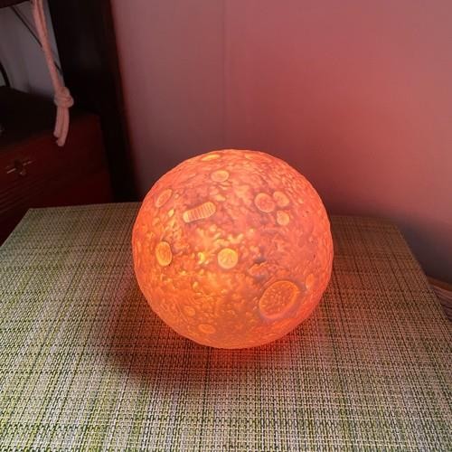5" Toysmith Footsteps on the Moon Plastic Crater Night Light 12 Color Show 3AAA