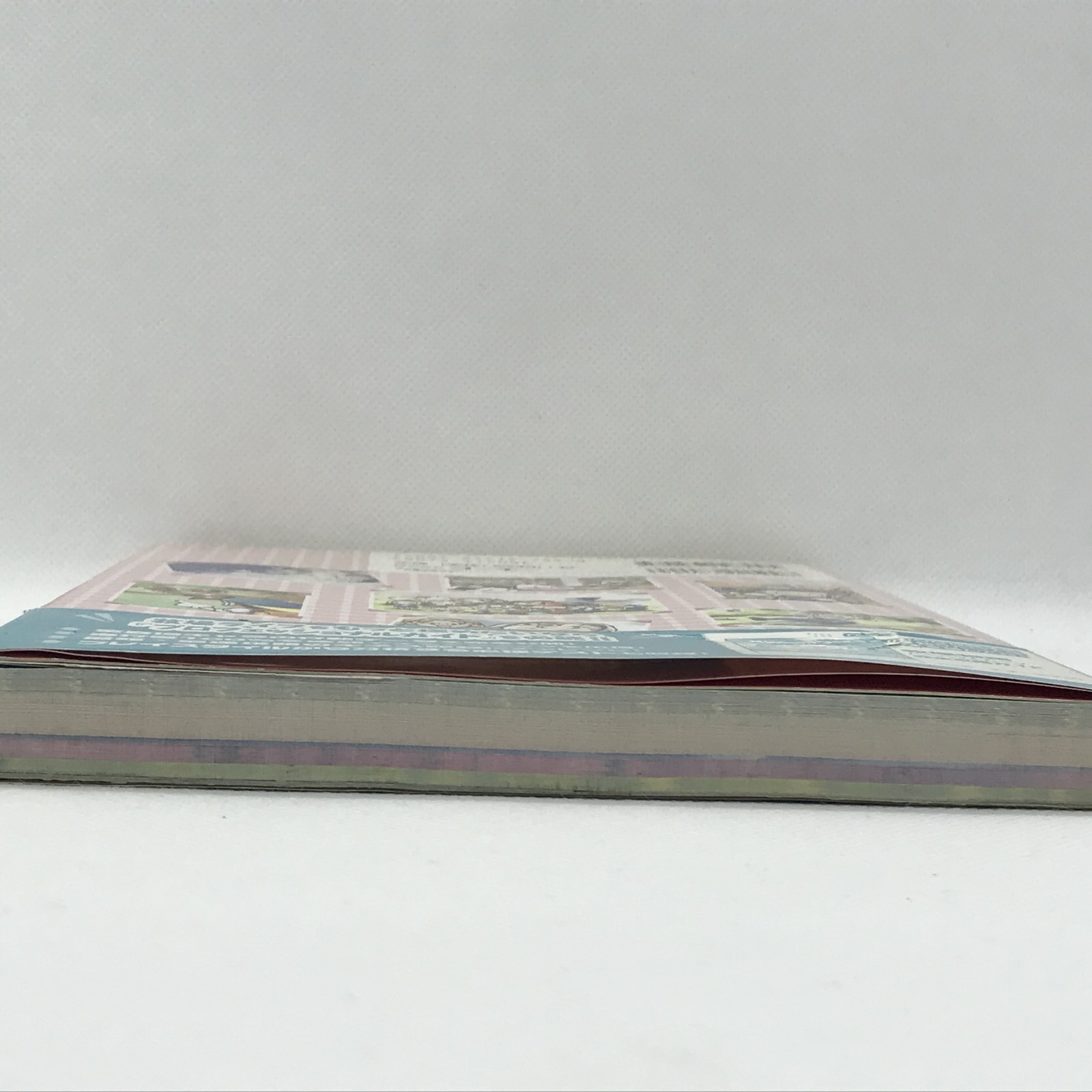 Bokujo Monogatari Harvest Moon Professional Guide Book 2000 PlayStation PS1