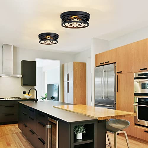 2 Pack Flush Mount Ceiling Light,Black 2-Light 10.7in 2-Light Ceiling Light