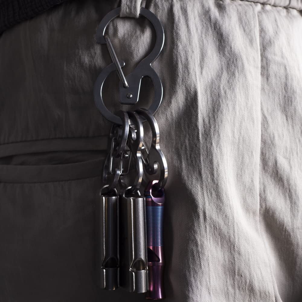 Stainless Steel Carabiner Keychain Set Quick Release Clips Loop-Locked Hooks