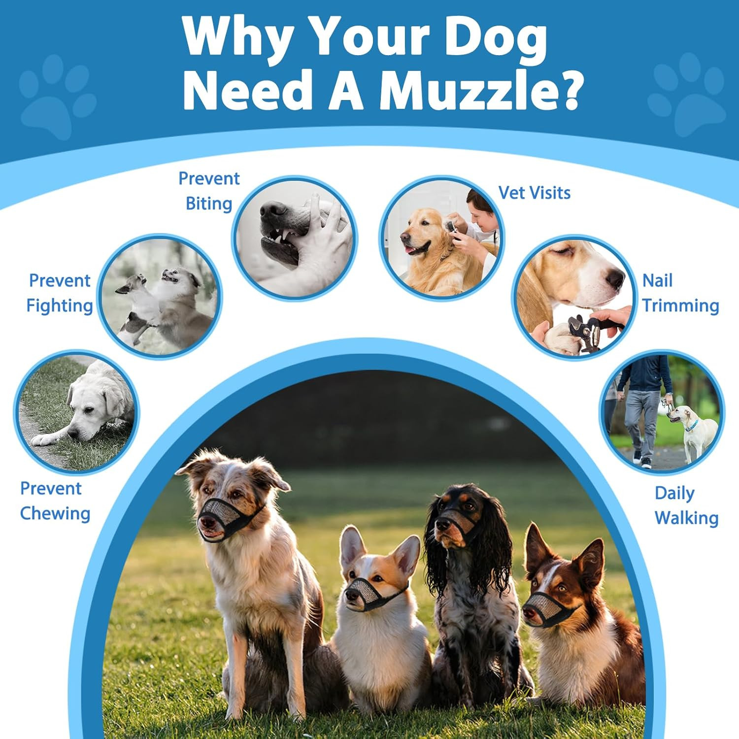 Dog Muzzle Suits for Small Medium Large Dogs, Mesh Muzzle anti Biting Chewing, B